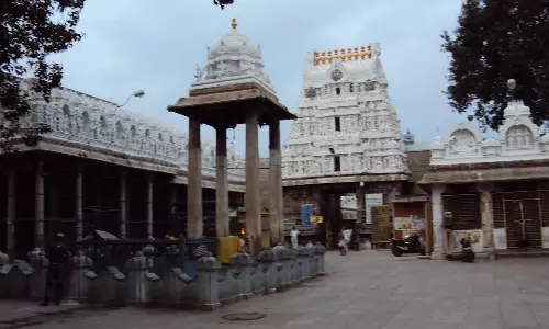 திருப்பதி கோவிந்தராஜசாமி கோவிலில் போகி தேர் 14-ந்தேதி நடக்கிறது