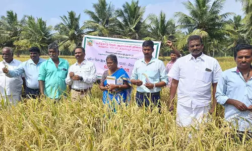 வயல் தின விழா