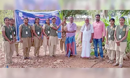 விவசாயிகளுக்கு தென்னங்கன்றுகள் வழங்கல்