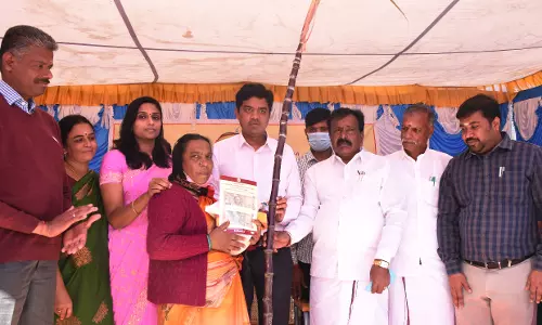 நீலகிரியில் 2¼ லட்சம் குடும்ப அட்டைதாரர்களுக்கு பொங்கல் தொகுப்பு -கலெக்டர் அம்ரித் தகவல்