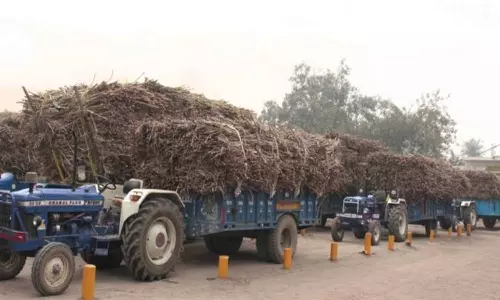 கூட்டுறவு சர்க்கரை ஆலைக்கு பதிவு செய்த கரும்பை தனியார் ஆலைக்கு எடுத்து சென்றால் நடவடிக்கை