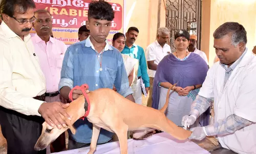 அரியலூர் கல்லங்குறிச்சி கிராமத்தில் ரேபிஸ் நோய் தடுப்பூசி முகாம்