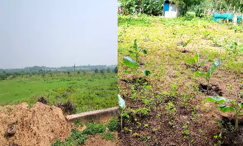 உடன்குடி வட்டார பகுதியில் வறண்டு கிடக்கும் குளங்கள்