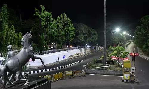 50 வயதாகும் அண்ணா மேம்பாலம்- அழகுப்படுத்தும் பணி தீவிரம்