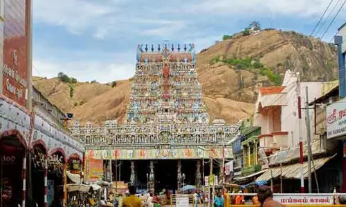 திருப்பரங்குன்றம் முருகன் கோவில் தெப்பத்திருவிழா