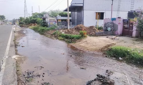 மரங்களை தோண்டிய போது குடிநீர் குழாய் உடைந்தது