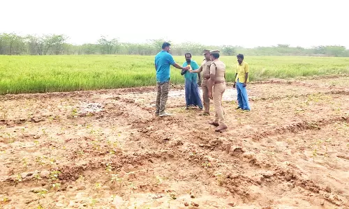 காட்டுப்பன்றி, மான்கள் பயிர்களை சேதப்படுத்துவதை தடுக்க வேண்டும்