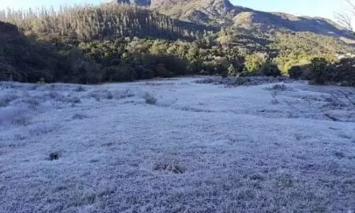 நீலகிரி மாவட்டத்தில் 3-வது நாளாக கொட்டிய உறைபனி