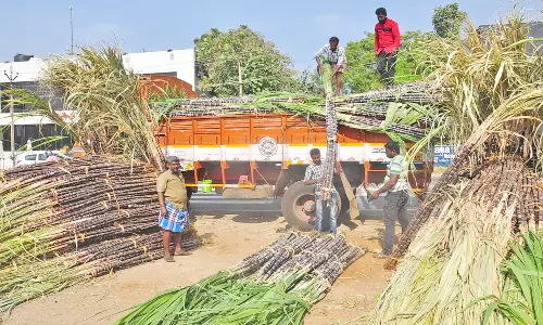 குமரி மாவட்டத்தில் பொங்கல் பொருட்கள் விற்பனை சூடு பிடிக்கிறது - கடை வீதிகளில் மக்கள் கூட்டம் அலைமோதல்