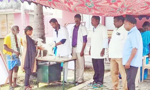 வேதாரண்யத்தில் வெறிநாய் தடுப்பூசி முகாம்