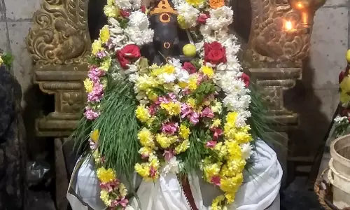 புதுக்கோட்டையில் சதுர்த்தி விழா