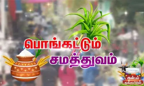 அனைத்து ஊராட்சிகளிலும் நாளைசமத்துவப் பொங்கல் விழா கொண்டாட்டம்