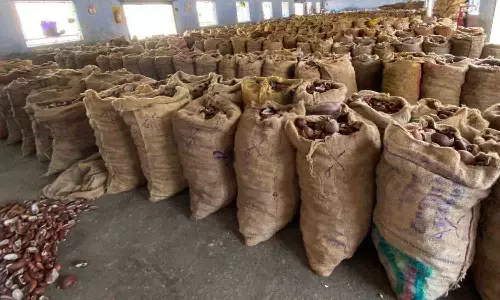 வெள்ளகோவில் வேளாண் ஒழுங்குமுறை விற்பனை கூடத்தில்ரூ.64 லட்சத்திற்கு தேங்காய் பருப்பு ஏலம்