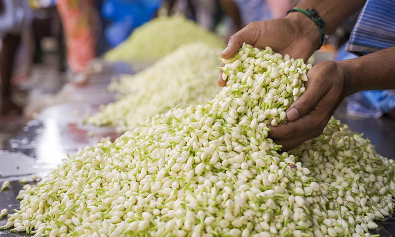 தோவாளை மார்க்கெட்டில் மல்லிகைப்பூ கிலோ ரூ.1800-க்கு விற்பனை