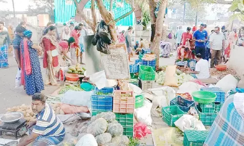 பொங்கல் பண்டிகை எதிரொலி- பழனி உழவர் சந்தையில் 30 டன் காய்கறிகள் விற்பனை