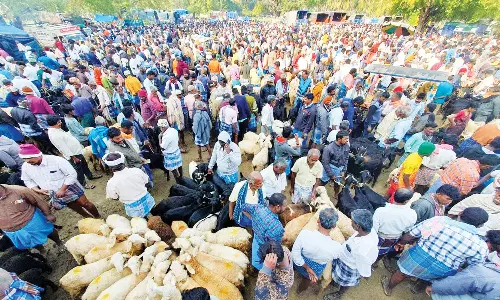 குந்தாரப்பள்ளி வார சந்தையில் களைகட்டிய ஆடுகள் விற்பனை