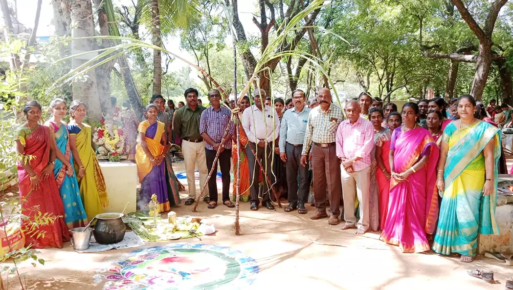 திருச்செந்தூர் ஆதித்தனார் கல்லூரியில் பொங்கல் விழா