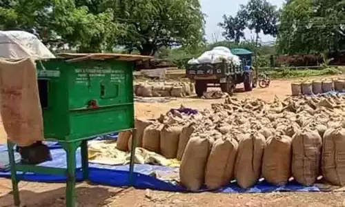 12 இடங்களில் நெல் கொள்முதல் நிலையங்கள் திறப்பு