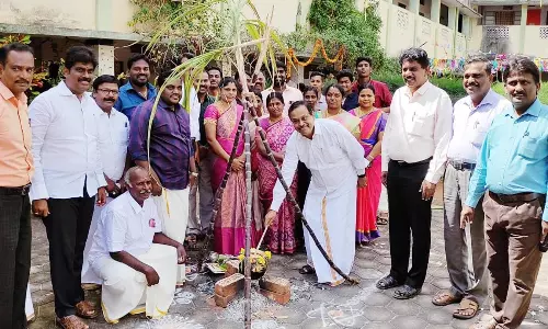 பொங்கல் விழா கொண்டாட்டம்