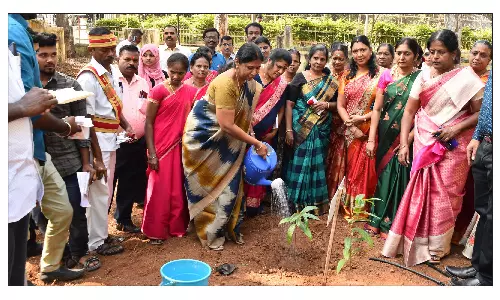 பிறந்த நாள், திருமண நாளை நினைவுகூறும் வகையில் மரக்கன்றுகள் நட வேண்டும் -கலெக்டர் அறிவுரை