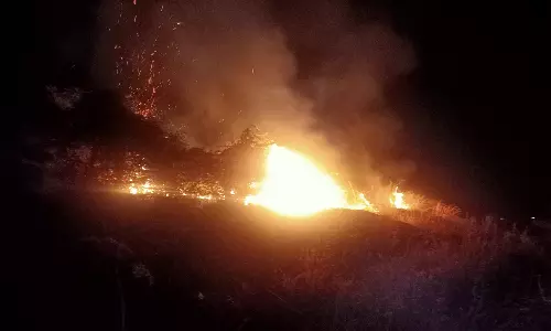 கருங்கல் மலையில் திடீர் காட்டுத் தீ