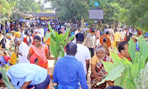 இன்று ஒரே நாளில் ரூ.52 லட்சத்திற்கு வியாபாரம்- பாளை உழவர் சந்தைகளில் 104 டன் காய்கறிகள் விற்பனை
