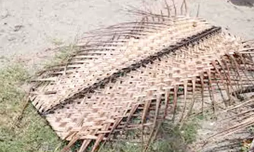 பனிக்காலத்தால் தென்னந்தடுக்கு விற்பனை மந்தம் - தொழிலாளர்கள்  வேலையிழப்பு