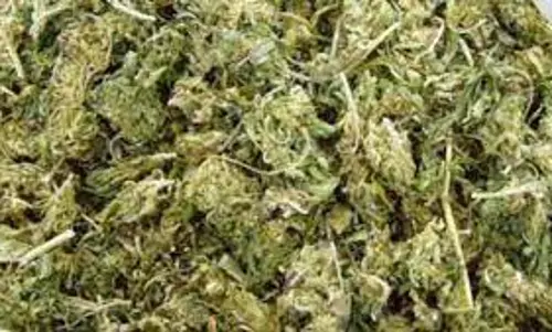 கும்மிடிப்பூண்டி அருகே கஞ்சா கடத்திய 2 பேர் கைது