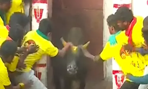 அவனியாபுரம் ஜல்லிக்கட்டு போட்டி தொடங்கியது