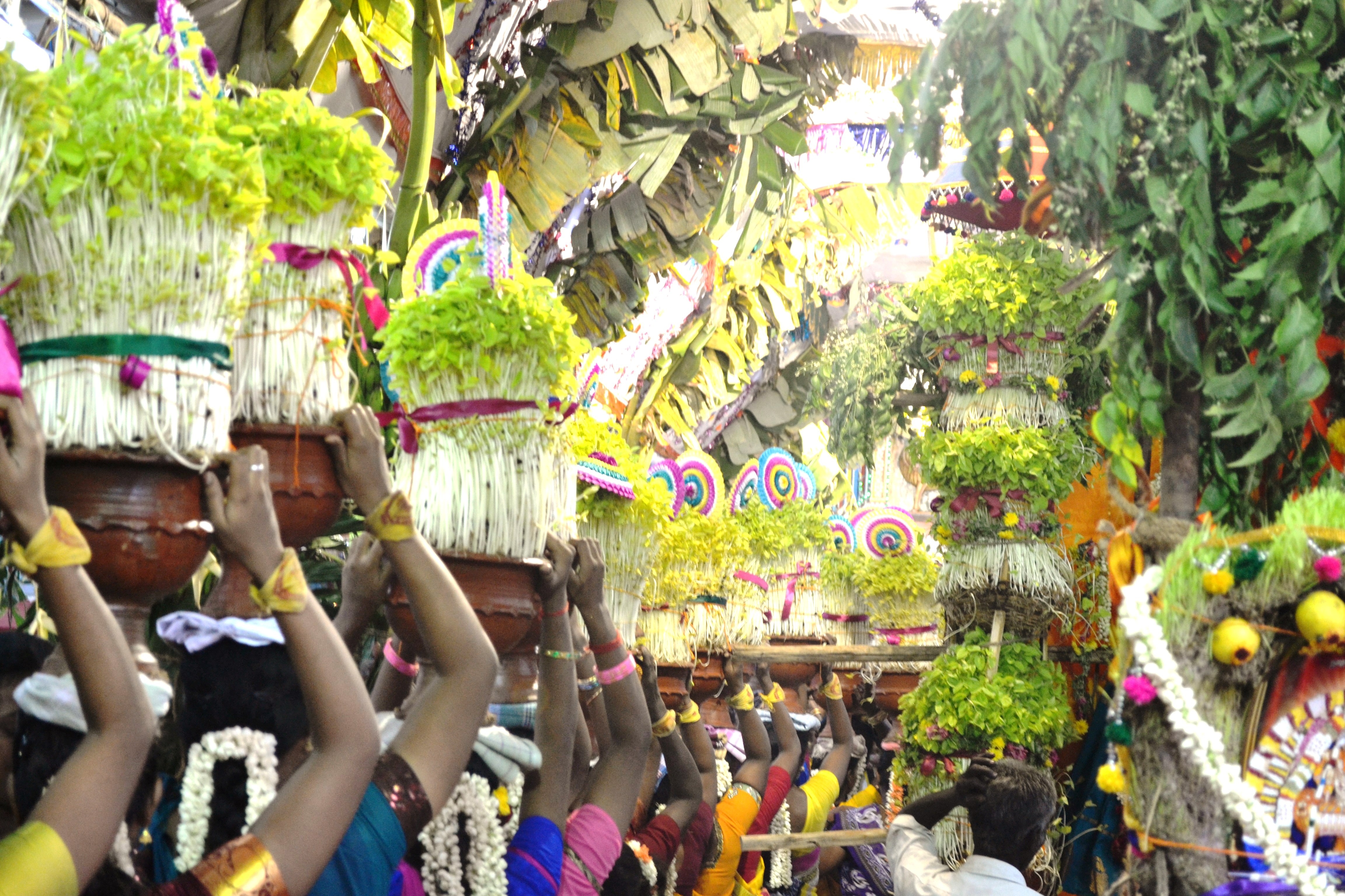 கால பைரவருக்கு முளைப்பாரி பூஜை