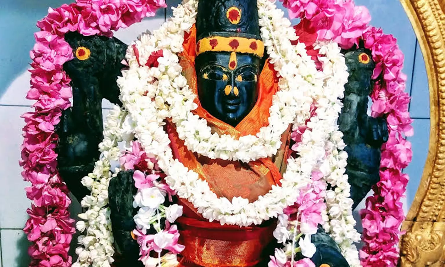 அருணாப்பேரி முத்துமாரியம்மன் கோவிலில் பக்தர்கள் பூக்குழி இறங்கும் நிகழ்ச்சி