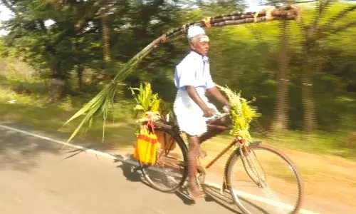 மகளுக்கு பொங்கல் சீர்வரிசை வழங்க தலையில் கரும்புடன் 17 கி.மீ. சைக்கிளில் பயணம் செய்த முதியவர்