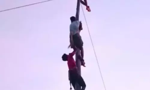 வழுக்கு மரம் ஏறும்  போட்டி