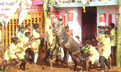 பாலமேடு ஜல்லிக்கட்டில் சீறிப்பாய்ந்த காளைகள்- ஆள்மாறாட்டத்தில் ஈடுபட்ட 14 வீரர்கள் தகுதி நீக்கம்