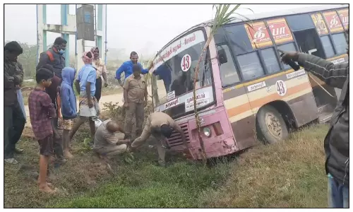 தருமபுரியில் கடும் பனிபொழிவால்சாலையோர பள்ளத்தில் பாய்ந்த அரசு பேருந்து