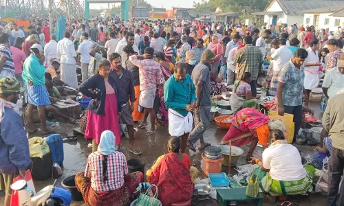 மாட்டுப்பொங்கலை முன்னிட்டு கடலூர் துறைமுகத்தில் மீன் வாங்க குவிந்த மக்கள்
