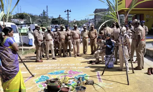 போலீசார், பொதுமக்கள் இணைந்து பொங்கல் கொண்டாட்டம்