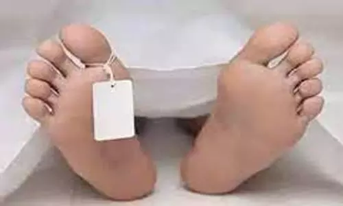 30 அடி பள்ளத்தில் விழுந்து வாலிபர் பலி