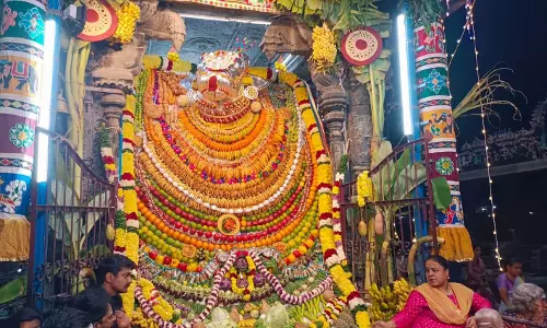 மாட்டுப்பொங்கலையொட்டி திட்டி வாசல் வழியாக சூரிய பகவானுக்கு அண்ணாமலையார் காட்சி