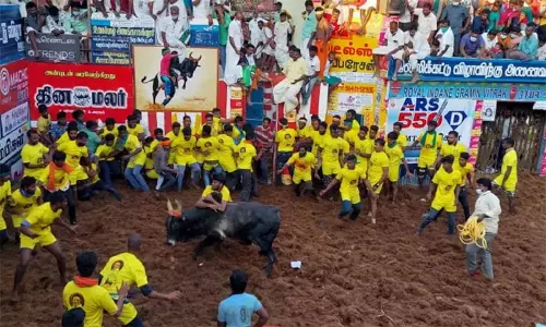 உலகப் புகழ்பெற்ற அலங்காநல்லூர் ஜல்லிக்கட்டு போட்டியை அமைச்சர் உதயநிதி ஸ்டாலின் தொடங்கி வைத்தார்