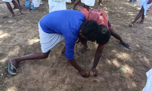 தேங்காயை உருட்டி மோதி உடைக்கும் விநோத போட்டி