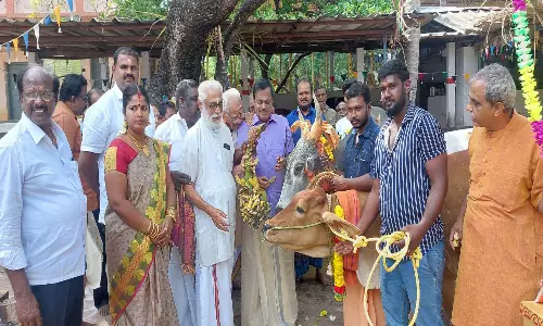 கன்னியாகுமரி விவேகானந்த கேந்திராவில் 50 மாடுகளுக்கு பூஜைகள் நடத்தி மாட்டுப்பொங்கல் கொண்டாட்டம்