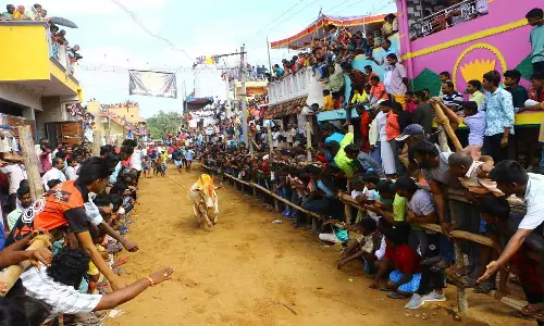 வேலூர் ரங்காபுரத்தில் சீறிப்பாய்ந்த காளைகள்