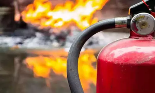 கோட்டை பூங்காவில் திடீர் தீ