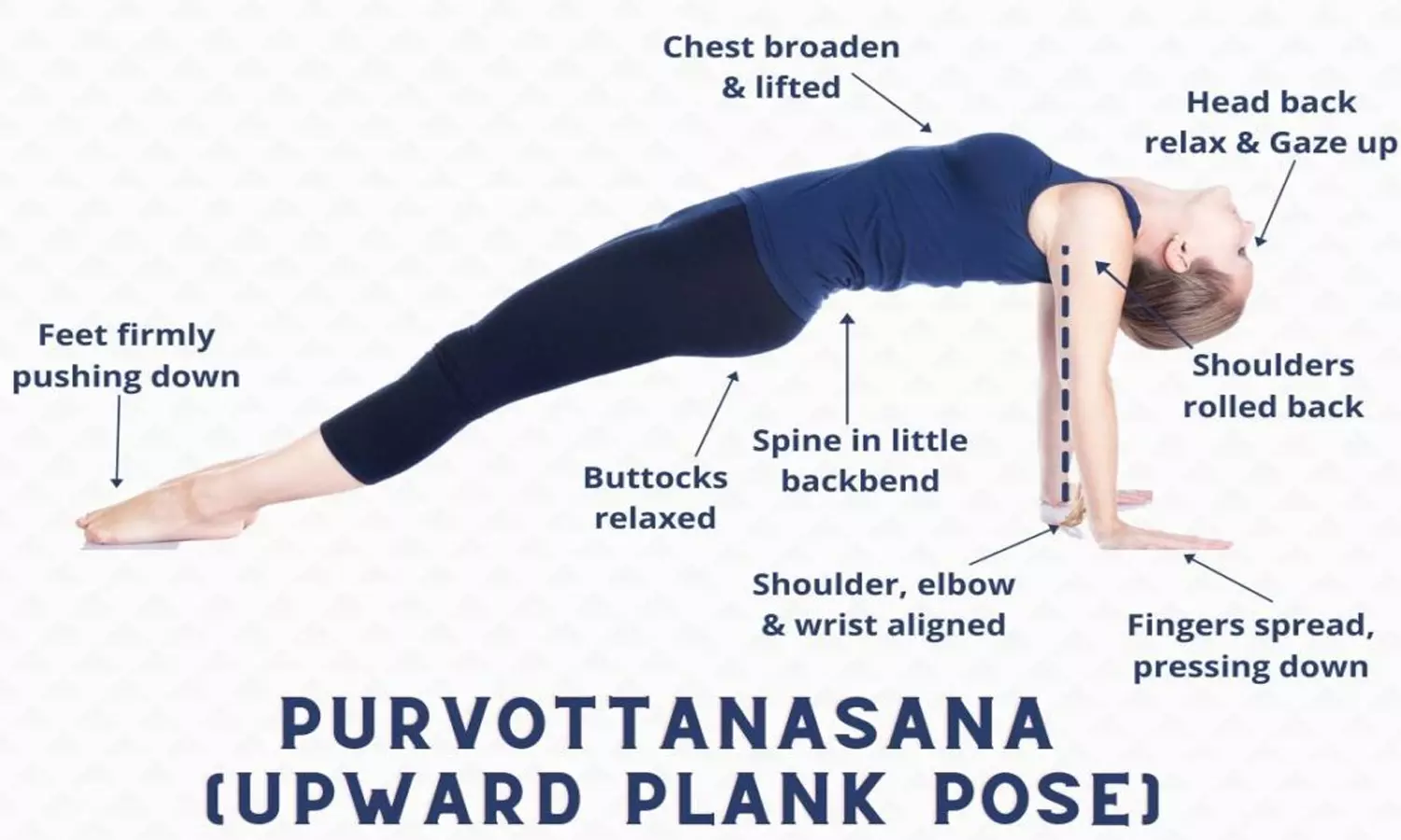 Chaturanga Dandasana (Four-Limbed Staff Pose) - Yoga Asana