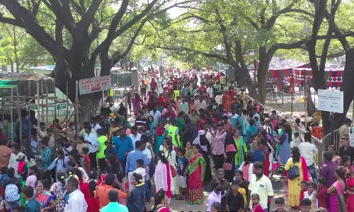 வண்டலூர் பூங்காவை 4 நாட்களில் ஒரு லட்சம் பேர் பார்வையிட்டனர்