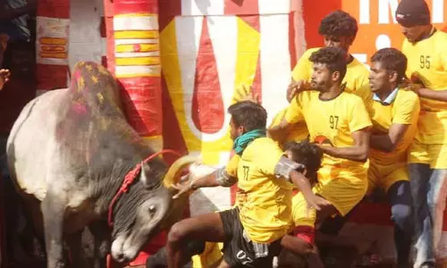 அலங்காநல்லூர் ஜல்லிக்கட்டை அதிர வைத்த காளைகள்