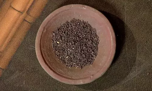 உடலில் உள்ள கொழுப்பை குறைக்கும் நத்தை சூரி விதை