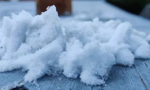 கொட்டும் உறைபனி- ஊட்டியில் 1.6 டிகிரி செல்சியஸ் வெப்பநிலை பதிவு