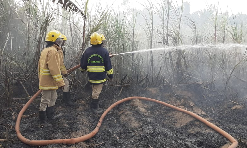 கரும்பு தோட்டத்தில் தீ விபத்து